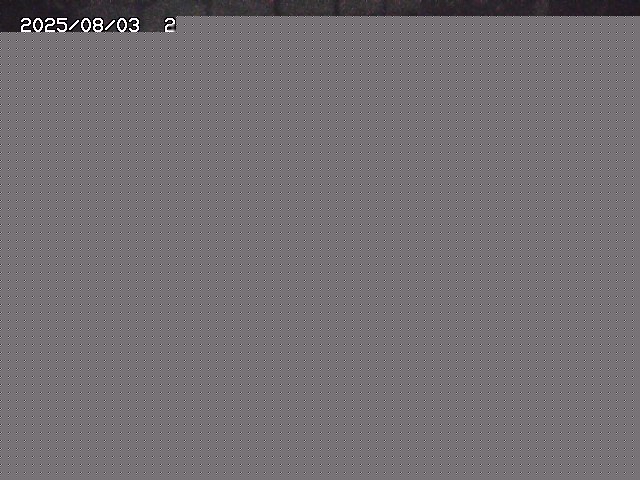 取得できませんでした