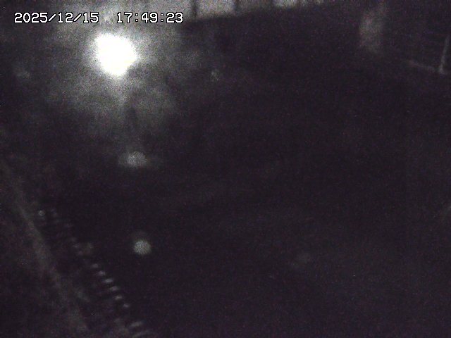 取得できませんでした