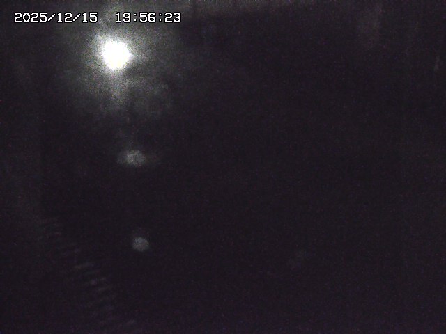 取得できませんでした