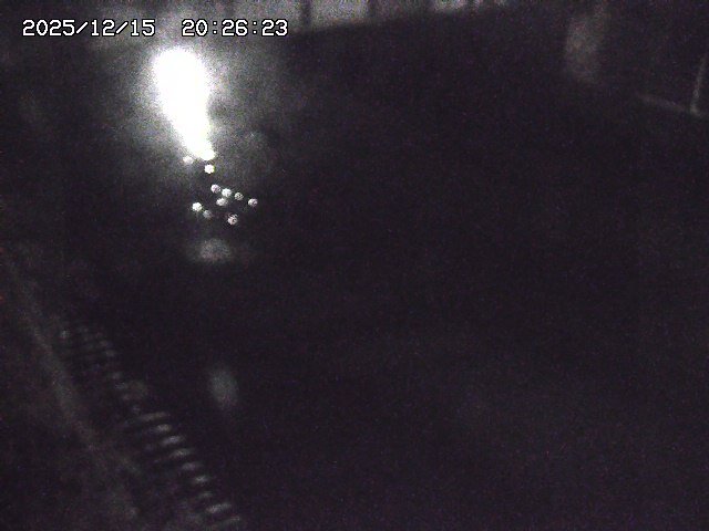 取得できませんでした