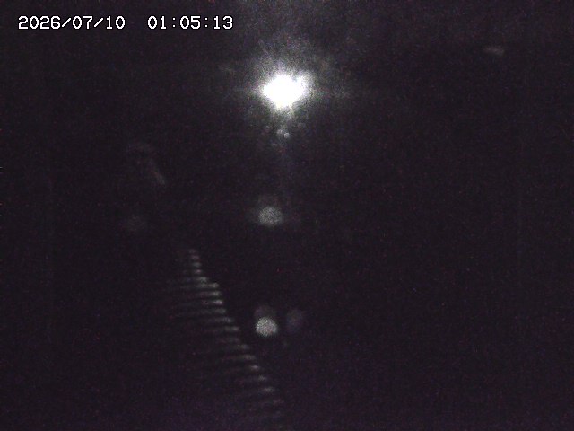 取得できませんでした