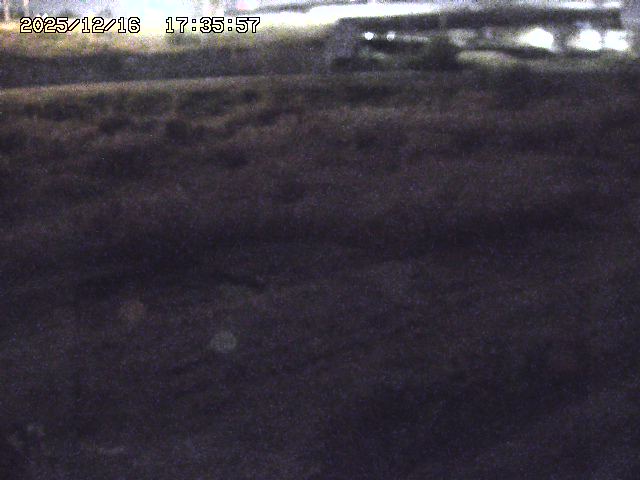 取得できませんでした