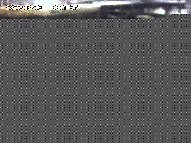 取得できませんでした