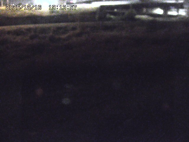 取得できませんでした