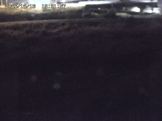 取得できませんでした