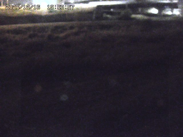 取得できませんでした