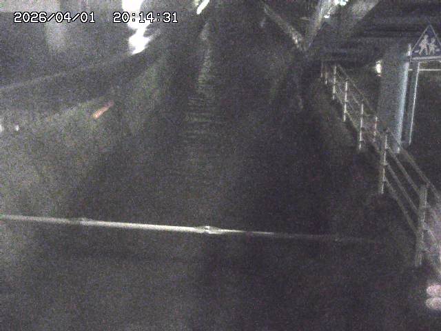 取得できませんでした