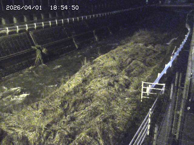 取得できませんでした