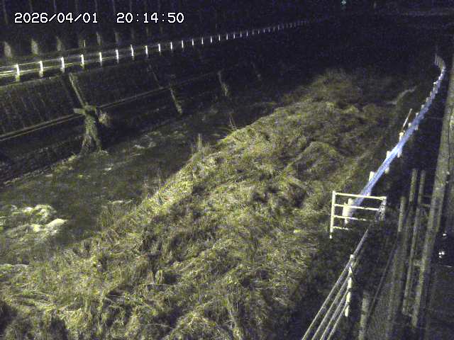 取得できませんでした