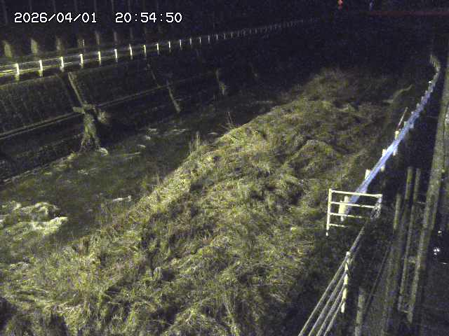 取得できませんでした