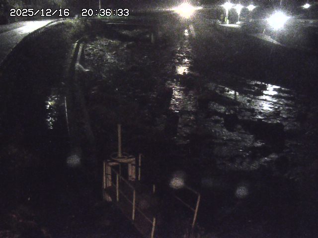 取得できませんでした