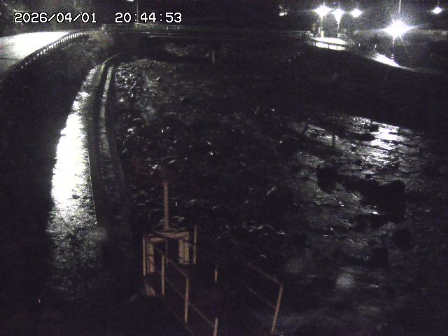 取得できませんでした