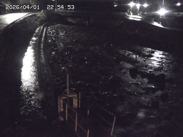 取得できませんでした