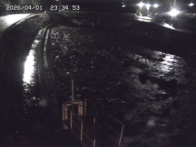 取得できませんでした