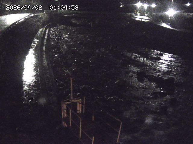 取得できませんでした