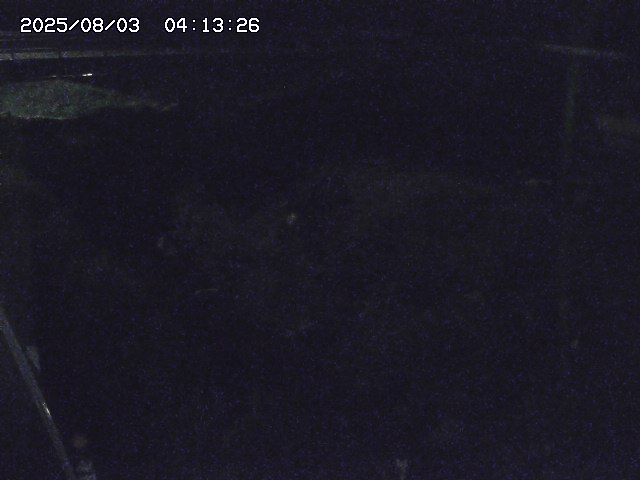取得できませんでした