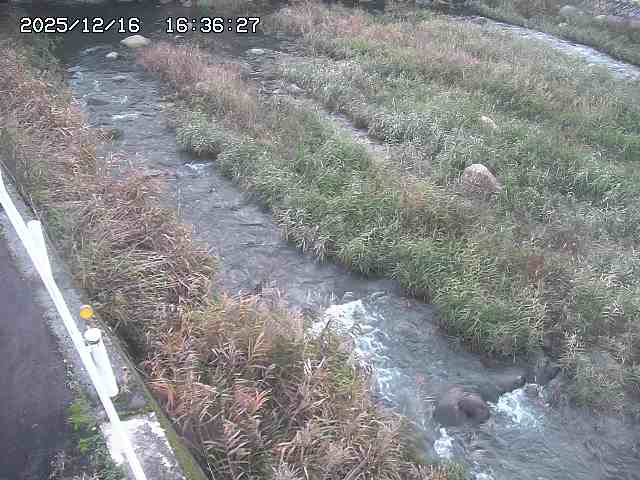 取得できませんでした