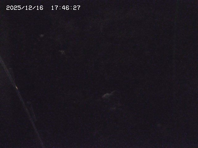 取得できませんでした