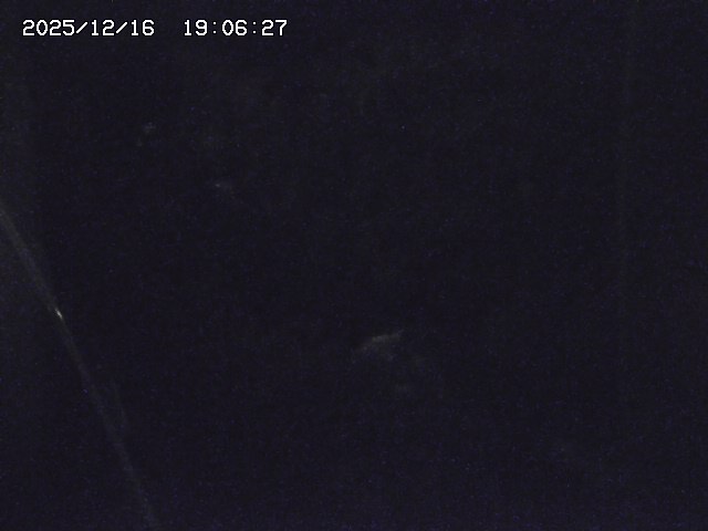 取得できませんでした