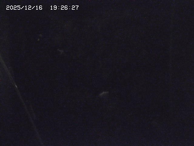 取得できませんでした