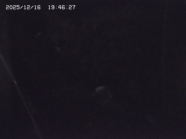 取得できませんでした