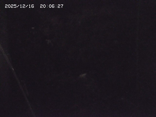 取得できませんでした