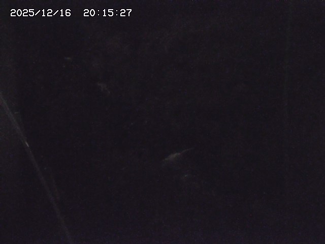 取得できませんでした