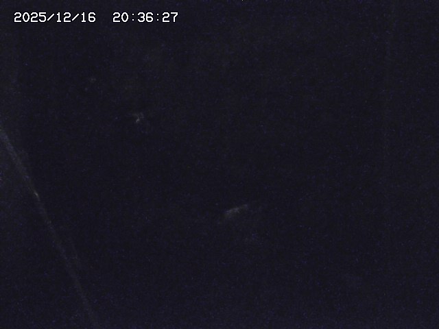 取得できませんでした