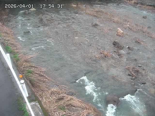 取得できませんでした