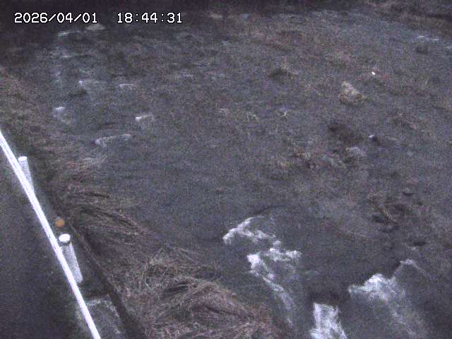 取得できませんでした