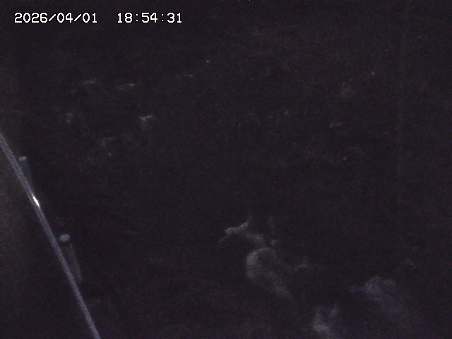 取得できませんでした