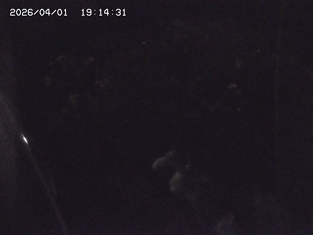 取得できませんでした