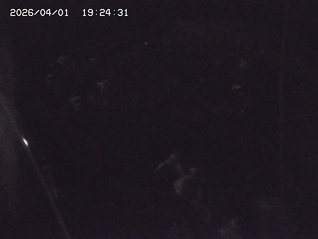 取得できませんでした