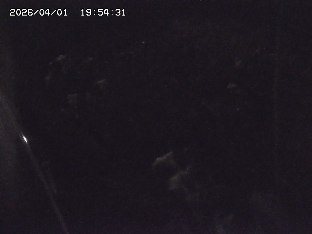 取得できませんでした