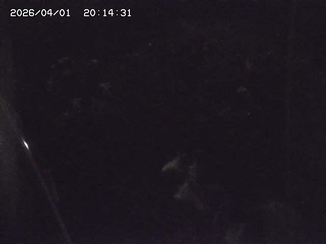 取得できませんでした