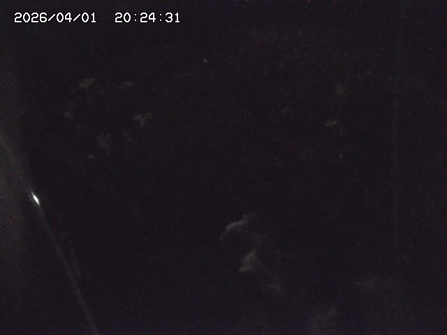 取得できませんでした