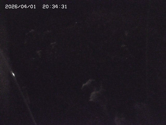 取得できませんでした