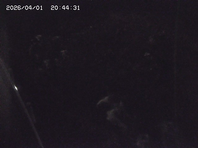 取得できませんでした