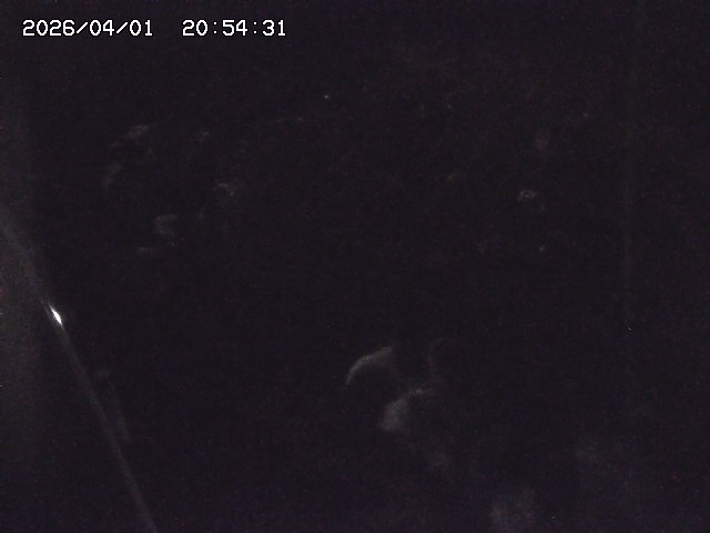 取得できませんでした