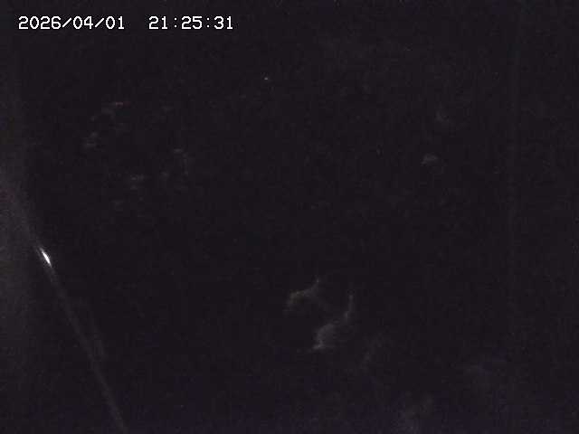 取得できませんでした