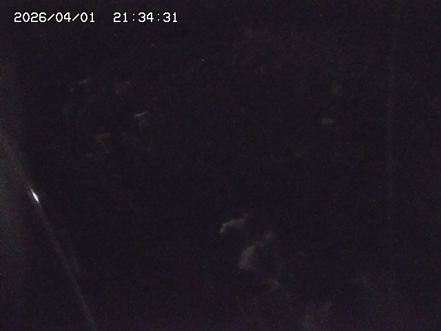 取得できませんでした