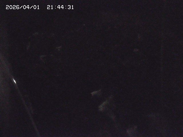 取得できませんでした