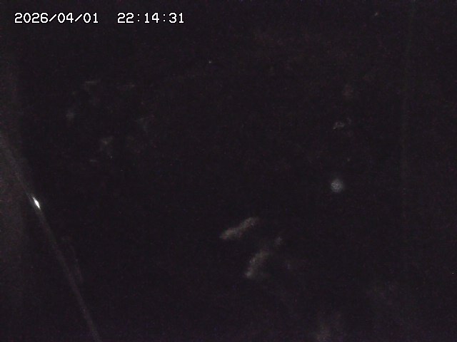 取得できませんでした