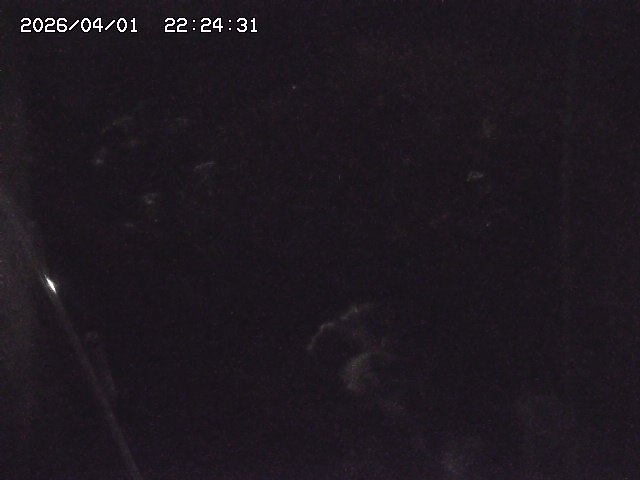 取得できませんでした