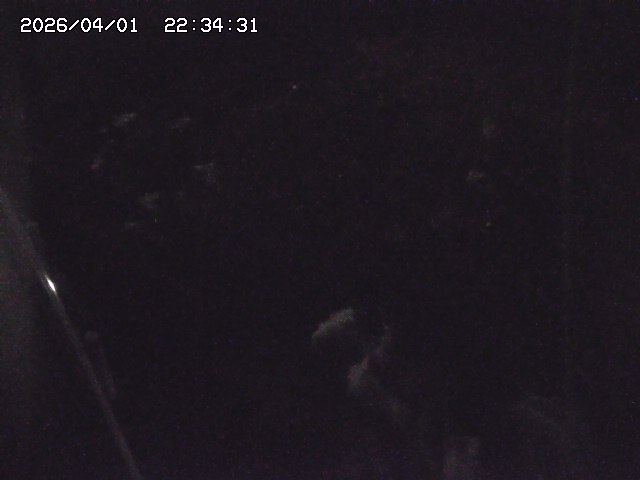 取得できませんでした