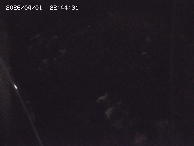 取得できませんでした