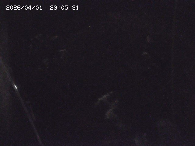 取得できませんでした