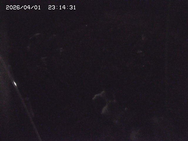 取得できませんでした