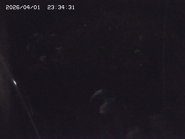 取得できませんでした