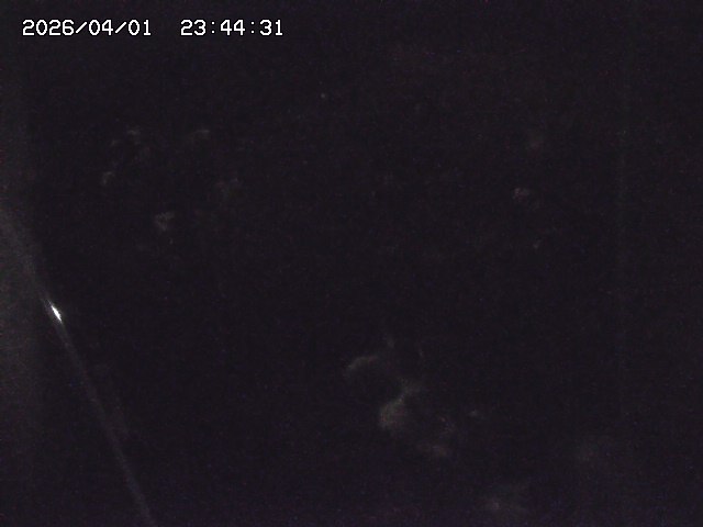 取得できませんでした